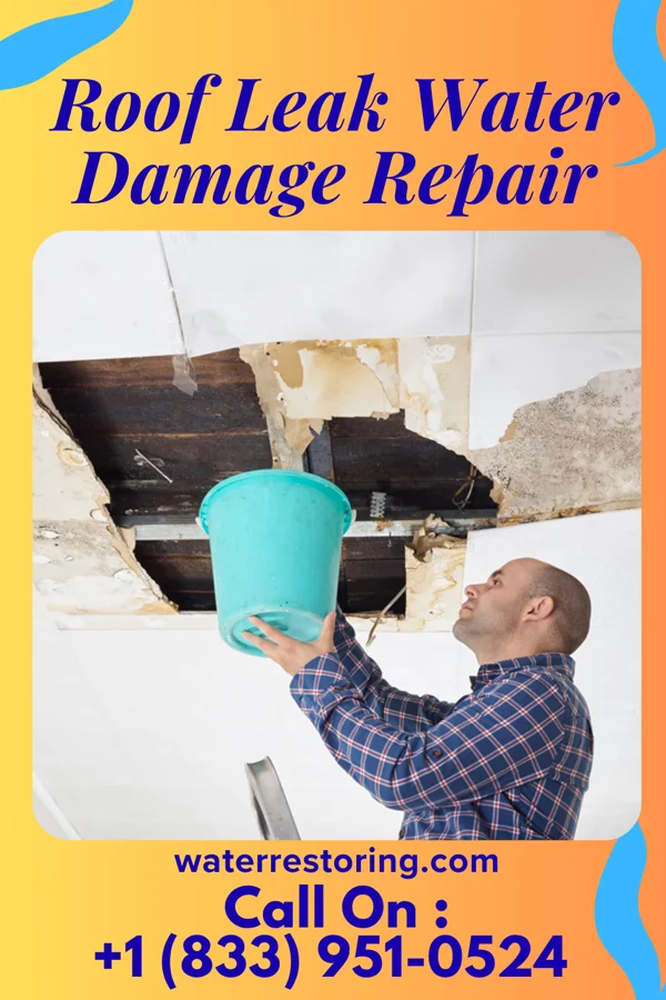 Roof Leak Water Damage Repair in Edgerton, WI