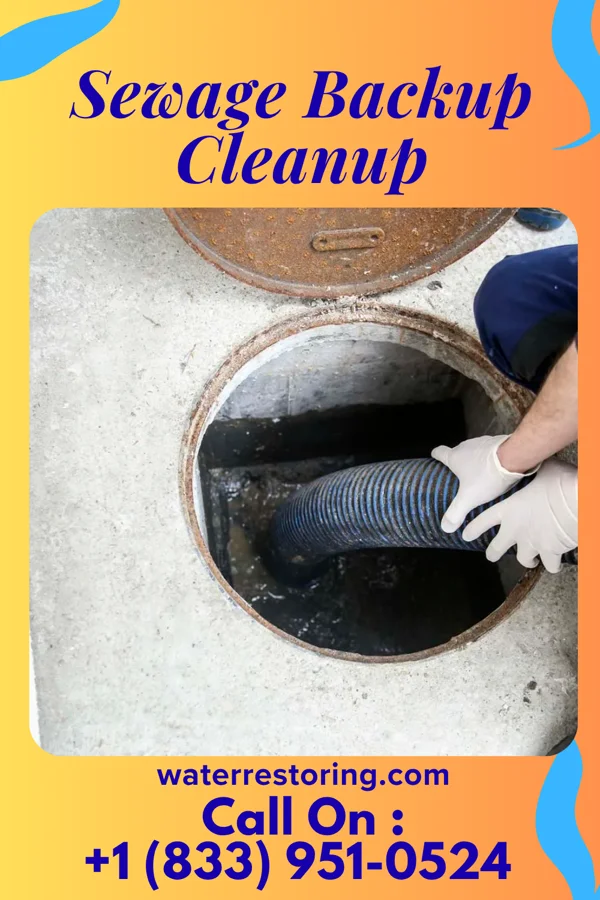 Sewage Backup Cleanup in Edgerton, WI